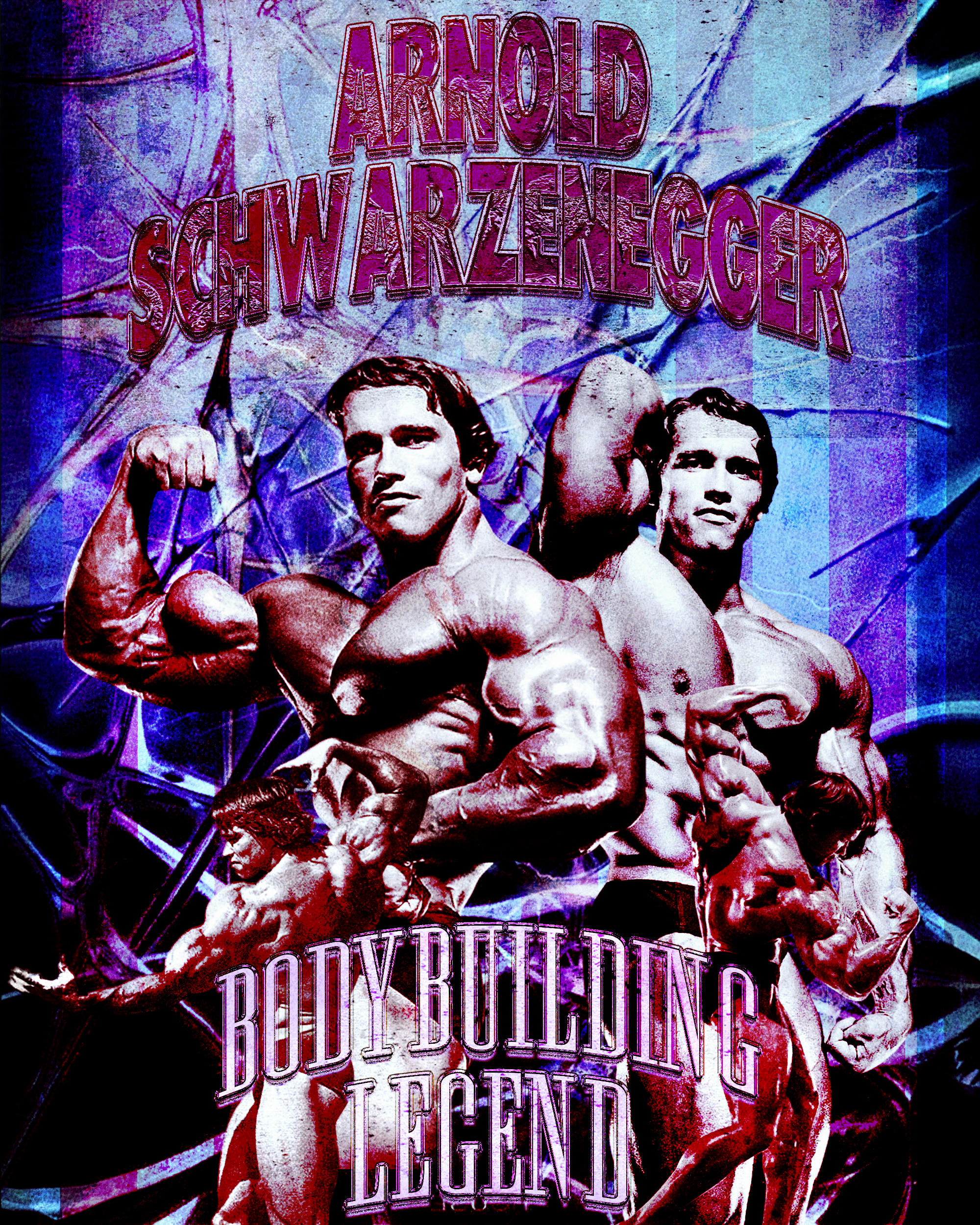 Arnold Schwarzenegger Flag